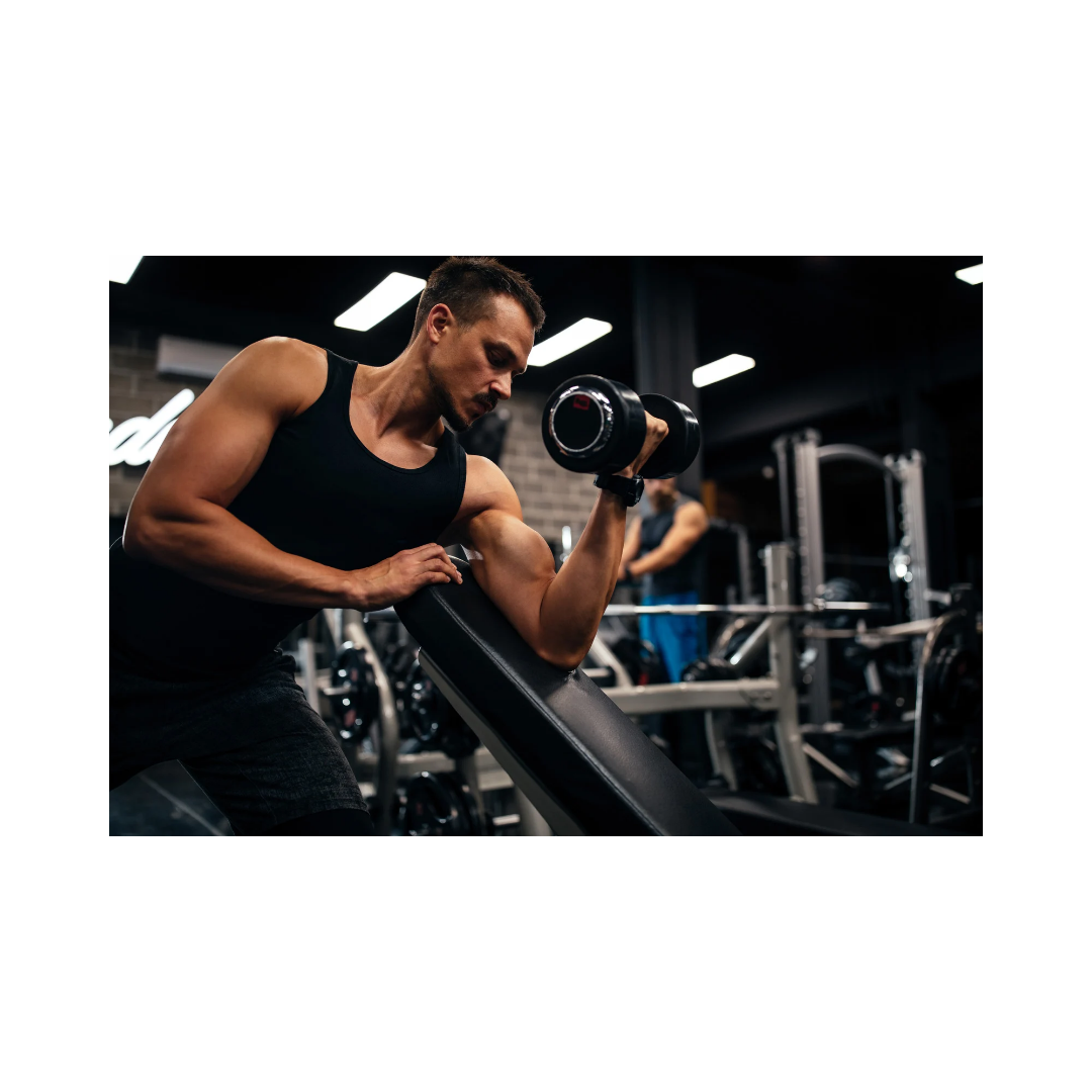 Fitnes